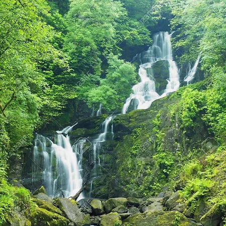 パーク プレイス アパートホテル キラーニー