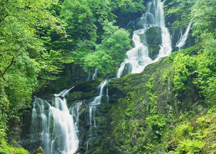 Park Place Apartmanhotel Cill Airne